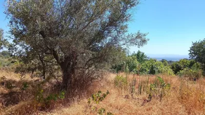 Rustic finca in Talaveruela de La Vera photo 22