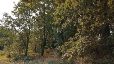 Rustic finca in Madrigal de La Vera photo 2