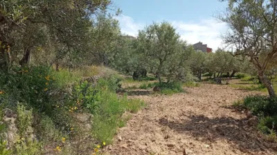 Rustic Finca in Villanueva de La Vera photo 23