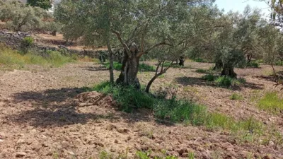 Rustic Finca in Villanueva de La Vera photo 14