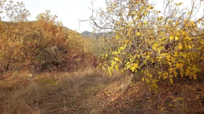 Rustic farm in Viandar de La Vera photo 54