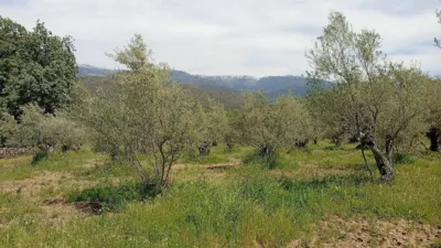 Rustic finca in Villanueva de La Vera photo 54