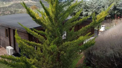Chalet in Urbanización La Suiza Española photo 31