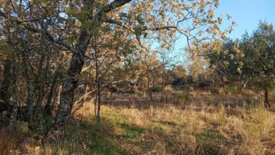 Rustic farm in Viandar de La Vera photo 33