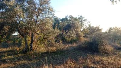 Rustic farm in Viandar de La Vera photo 30