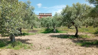 Rustic Finca in Villanueva de La Vera photo 43