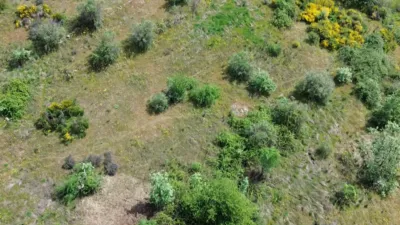 Rustic finca in Viandar de La Vera photo 4