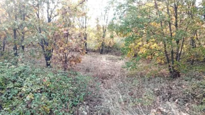 Rustic farm in Viandar de La Vera photo 24