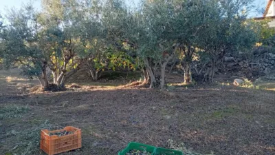 Rustic Finca in Villanueva de La Vera photo 21
