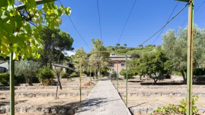 Chalet in Valdemaqueda photo 2