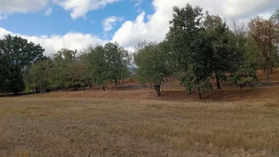 Rustic Finca in Villanueva de La Vera photo 71