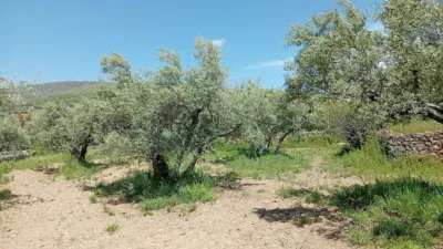 Rustic Finca in Villanueva de La Vera photo 56