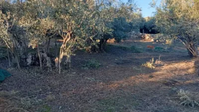 Rustic Finca in Villanueva de La Vera photo 16