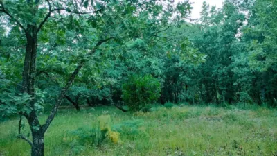 Rustic Finca in Villanueva de La Vera photo 2