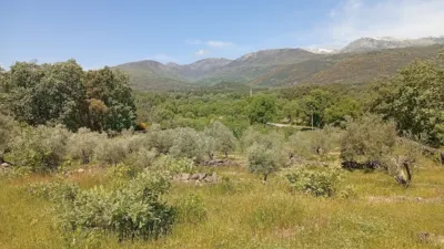 Rustic finca in Villanueva de La Vera photo 119