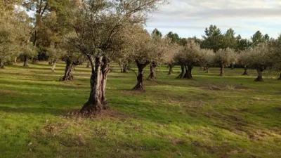 Rustic Finca in Villanueva de La Vera photo 6
