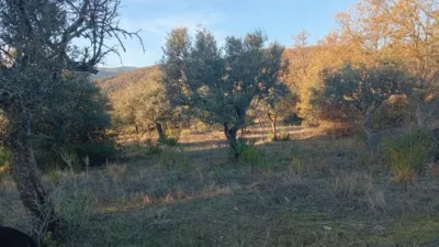 Rustic farm in Viandar de La Vera photo 27