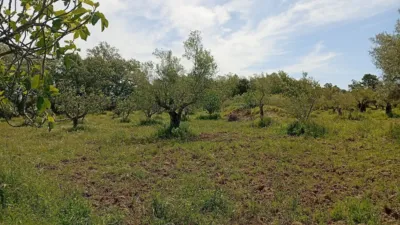 Rustic finca in Villanueva de La Vera photo 35