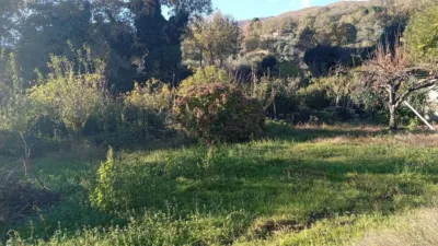 Rustic finca in Villanueva de La Vera photo 48