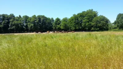 Rustic farm in Madrigal de La Vera photo 5