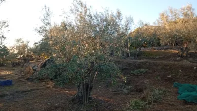 Rustic Finca in Villanueva de La Vera photo 40