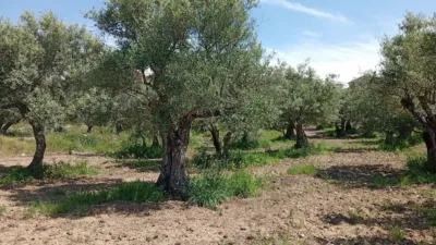 Rustic Finca in Villanueva de La Vera photo 42