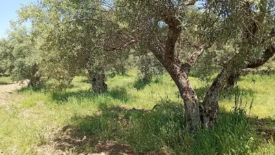 Rustic Finca in Villanueva de La Vera photo 80