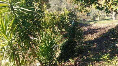 Rustic finca in Villanueva de La Vera photo 50