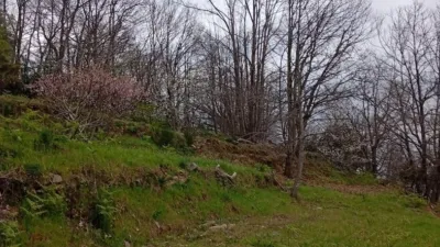 Rustic Finca in Valverde de La Vera photo 98