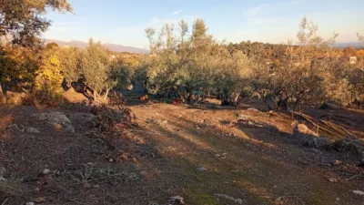 Rustic Finca in Villanueva de La Vera photo 67