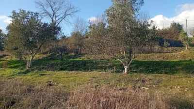Rustic Finca in Losar de La Vera photo 16