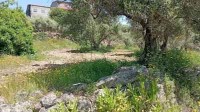 Rustic Finca in Villanueva de La Vera photo 66