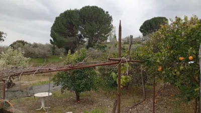 Rustic Finca in Villanueva de La Vera photo 38