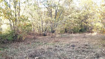 Rustic farm in Viandar de La Vera photo 5