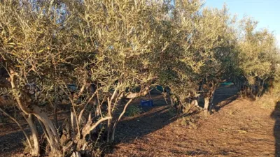 Rustic Finca in Villanueva de La Vera photo 9