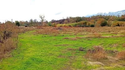 Rustic farm in Villanueva de La Vera photo 4