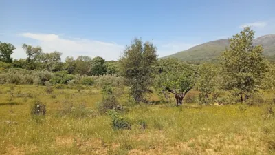 Rustic finca in Villanueva de La Vera photo 99