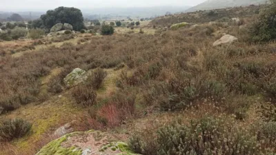 Rustic finca in Zarzalejo photo 19