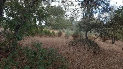 Rustic Finca in Villanueva de La Vera photo 105