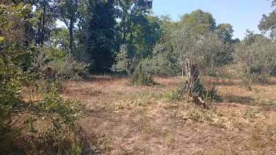 Rustic farm in Villanueva de La Vera photo 2