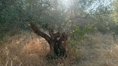 Rustic farm in Villanueva de La Vera photo 3
