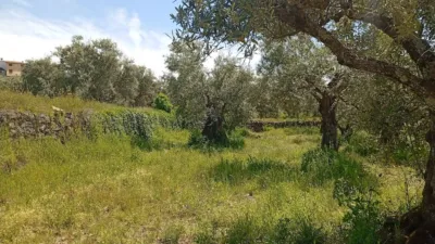 Rustic Finca in Villanueva de La Vera photo 76