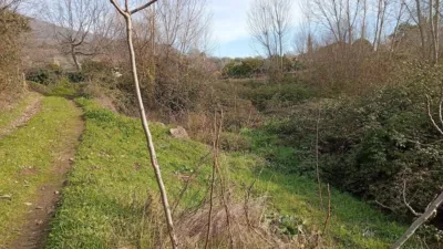 Rustic Finca in Valverde de La Vera photo 6