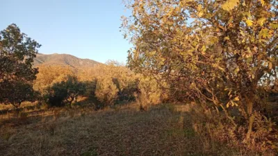 Rustic farm in Viandar de La Vera photo 19