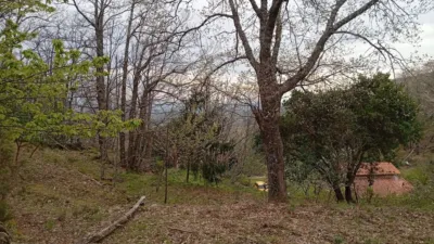 Rustic Finca in Valverde de La Vera photo 53