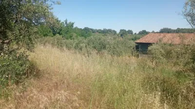 Chalet in Villanueva de La Vera photo 75