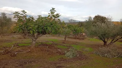 Rustic finca in Villanueva de La Vera photo 66