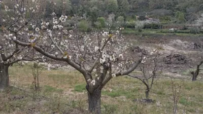 Rustic Finca in Villanueva de La Vera photo 51