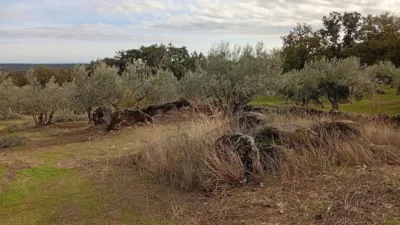 Rustic finca in Villanueva de La Vera photo 34