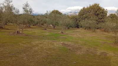 Rustic finca in Villanueva de La Vera photo 14